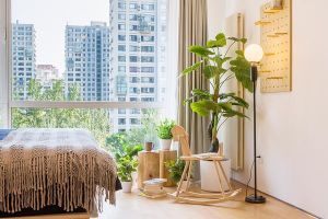 [盛世装饰]家居绿化怎么做?一定要注意这三个空间的绿植摆放!