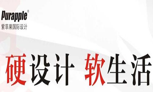贵阳紫苹果装饰