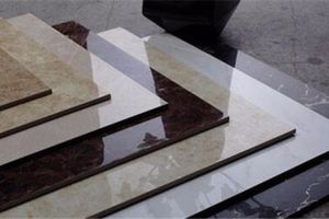 [厦门兴宏星装饰]瓷砖分类手册，看着买不慌！