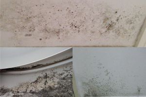 [无锡乐阳装饰]家装墙面出现渗水的原因分析，如何处理？