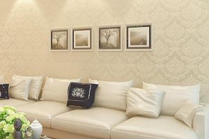 [珠海涂家实业装饰公司]客厅墙面装修用什么材料比较好？