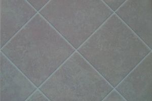 [三亚椰祺装饰]厨房用哪种瓷砖好，厨房瓷砖选购应该注意什么?