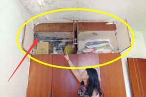 [成都玲珑庭装饰]一时粗心酿成15个笑柄，个个费钱不说还低级