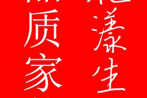 临沂市房源印象110平大两室轻奢风格