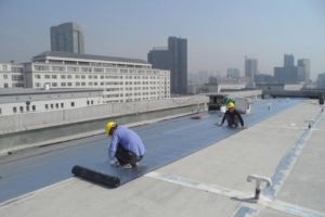 [南宁美立方装饰]屋顶防水补漏可以用什么材料，方法是什么