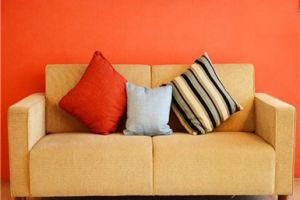 [张家界点石装饰]沙发填充物有哪些 沙发填充物哪种好