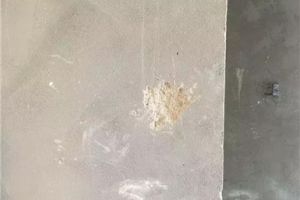 [大自然环保家装]墙面起砂处理方案 墙面装饰材料种类