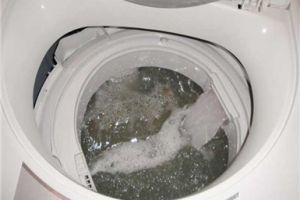 [深圳东易日盛装饰]洗衣机清洗方法 如何清洗洗衣机