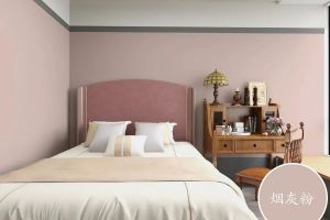 [合肥徽峰装饰公司]年轻人最爱哪几款网红乳胶漆？