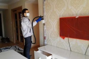 [方信装饰]刚装修房子用什么除味？