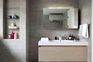 [菏泽东晨装饰]卫生间装修壁龛注意事项有哪些