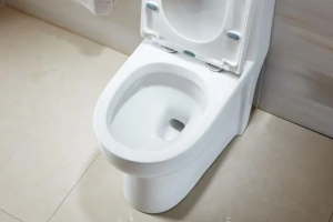 [南昌巢居装饰公司]马桶下水口径多大？马桶安装注意事项