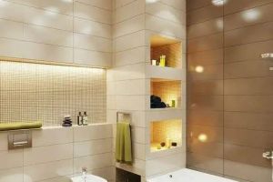 [达州梦想家装饰]卫生间壁龛应该怎么设计