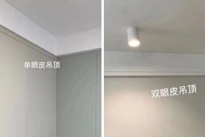 [临沂龙发装饰公司]吊顶流行做双眼皮，不是没道理的！