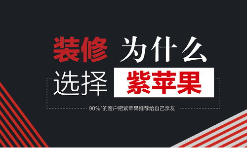 合肥紫苹果装饰