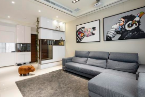 [南充佳天下装饰]小户型房屋装修技巧