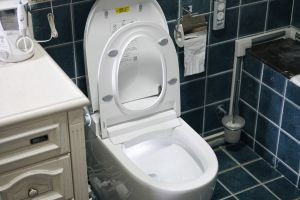 [太原东易日盛装饰]马桶和蹲坑怎么选？重点考虑这五个因素考虑