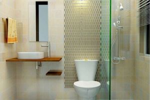 [南宁南庭艺筑装饰]小卫生间如何装修？