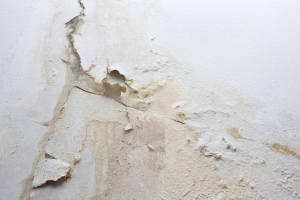 [桂林中宅装饰]墙面受潮的处理方法