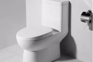 [张家口御峰轩装饰]卫生间有异味怎么办