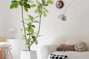 [上海统帅装饰]掌握装修设计六大要素，怎么装都好看!