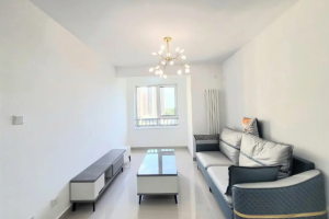 [忻州龙发装饰]一居室房屋装修设计