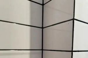 [石家庄三宅一生装饰]美缝选材施工有讲究，这些细节一定注意！