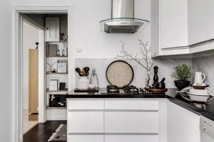 [芜湖金螳螂装饰]开放式厨房装修设计要点