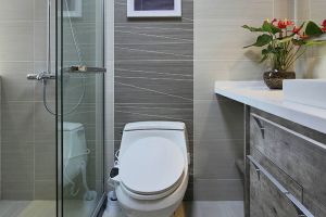 [洛阳景庭装饰]卫生间装修有哪些细节问题