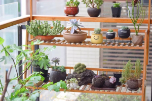 [紫云轩装饰]阳台装修可以如何设计