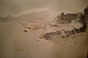 [汕头水木装饰]墙面出现问题如何处理?解决方法有哪些?