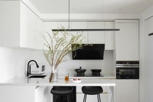 [惠州木瓜装饰]开放式厨房到底好不好？优缺点有哪些？